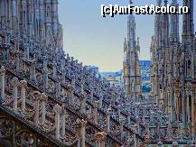 [P37] Domul din Milano : dantele din marmură pe terasele acoperișului » foto by mariana.olaru
 - 
<span class="allrVoted glyphicon glyphicon-heart hidden" id="av327186"></span>
<a class="m-l-10 hidden" id="sv327186" onclick="voting_Foto_DelVot(,327186,3925)" role="button">șterge vot <span class="glyphicon glyphicon-remove"></span></a>
<a id="v9327186" class=" c-red"  onclick="voting_Foto_SetVot(327186)" role="button"><span class="glyphicon glyphicon-heart-empty"></span> <b>LIKE</b> = Votează poza</a> <img class="hidden"  id="f327186W9" src="/imagini/loader.gif" border="0" /><span class="AjErrMes hidden" id="e327186ErM"></span>