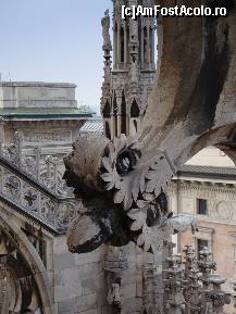 [P42] Domul din Milano, vedere de pe una din terasele acoperișului: arcade purtând simbolul fecundidății-pinecone(conul de pin) » foto by mariana.olaru
 - 
<span class="allrVoted glyphicon glyphicon-heart hidden" id="av327191"></span>
<a class="m-l-10 hidden" id="sv327191" onclick="voting_Foto_DelVot(,327191,3925)" role="button">șterge vot <span class="glyphicon glyphicon-remove"></span></a>
<a id="v9327191" class=" c-red"  onclick="voting_Foto_SetVot(327191)" role="button"><span class="glyphicon glyphicon-heart-empty"></span> <b>LIKE</b> = Votează poza</a> <img class="hidden"  id="f327191W9" src="/imagini/loader.gif" border="0" /><span class="AjErrMes hidden" id="e327191ErM"></span>