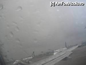 [P11] Linate, Alitalia, vreme oribila. VIETATO AI FOTOGRAFIE :)  » foto by fanespoitorul
 - 
<span class="allrVoted glyphicon glyphicon-heart hidden" id="av409678"></span>
<a class="m-l-10 hidden" id="sv409678" onclick="voting_Foto_DelVot(,409678,3925)" role="button">șterge vot <span class="glyphicon glyphicon-remove"></span></a>
<a id="v9409678" class=" c-red"  onclick="voting_Foto_SetVot(409678)" role="button"><span class="glyphicon glyphicon-heart-empty"></span> <b>LIKE</b> = Votează poza</a> <img class="hidden"  id="f409678W9" src="/imagini/loader.gif" border="0" /><span class="AjErrMes hidden" id="e409678ErM"></span>