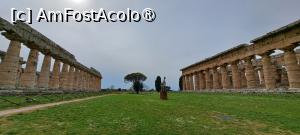[P72] Paestum, Templele Herei și Neptun » foto by irinad
 - 
<span class="allrVoted glyphicon glyphicon-heart hidden" id="av1536009"></span>
<a class="m-l-10 hidden" id="sv1536009" onclick="voting_Foto_DelVot(,1536009,3926)" role="button">șterge vot <span class="glyphicon glyphicon-remove"></span></a>
<a id="v91536009" class=" c-red"  onclick="voting_Foto_SetVot(1536009)" role="button"><span class="glyphicon glyphicon-heart-empty"></span> <b>LIKE</b> = Votează poza</a> <img class="hidden"  id="f1536009W9" src="/imagini/loader.gif" border="0" /><span class="AjErrMes hidden" id="e1536009ErM"></span>