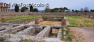 [P80] Paestum, vedere de ansamblu cu temple și ruine de case » foto by irinad
 - 
<span class="allrVoted glyphicon glyphicon-heart hidden" id="av1536017"></span>
<a class="m-l-10 hidden" id="sv1536017" onclick="voting_Foto_DelVot(,1536017,3926)" role="button">șterge vot <span class="glyphicon glyphicon-remove"></span></a>
<a id="v91536017" class=" c-red"  onclick="voting_Foto_SetVot(1536017)" role="button"><span class="glyphicon glyphicon-heart-empty"></span> <b>LIKE</b> = Votează poza</a> <img class="hidden"  id="f1536017W9" src="/imagini/loader.gif" border="0" /><span class="AjErrMes hidden" id="e1536017ErM"></span>