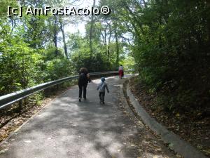 [P06] La pas către Cetatea Neamţ. Cel mic se dovedeşte un adevărat ”plăieș”, nu se dă bătut nicio clipă.  » foto by Floryn81
 - 
<span class="allrVoted glyphicon glyphicon-heart hidden" id="av741305"></span>
<a class="m-l-10 hidden" id="sv741305" onclick="voting_Foto_DelVot(,741305,3934)" role="button">șterge vot <span class="glyphicon glyphicon-remove"></span></a>
<a id="v9741305" class=" c-red"  onclick="voting_Foto_SetVot(741305)" role="button"><span class="glyphicon glyphicon-heart-empty"></span> <b>LIKE</b> = Votează poza</a> <img class="hidden"  id="f741305W9" src="/imagini/loader.gif" border="0" /><span class="AjErrMes hidden" id="e741305ErM"></span>