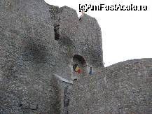 [P4x]  -- <small>// FĂRĂ DESCRIERE</small> » foto by cristi82d
 - 
<span class="allrVoted glyphicon glyphicon-heart hidden" id="av28469"></span>
<a class="m-l-10 hidden" id="sv28469" onclick="voting_Foto_DelVot(,28469,3934)" role="button">șterge vot <span class="glyphicon glyphicon-remove"></span></a>
<a id="v928469" class=" c-red"  onclick="voting_Foto_SetVot(28469)" role="button"><span class="glyphicon glyphicon-heart-empty"></span> <b>LIKE</b> = Votează poza</a> <img class="hidden"  id="f28469W9" src="/imagini/loader.gif" border="0" /><span class="AjErrMes hidden" id="e28469ErM"></span>