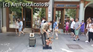 [P14] Doar un artist stradal » foto by robert
 - 
<span class="allrVoted glyphicon glyphicon-heart hidden" id="av751409"></span>
<a class="m-l-10 hidden" id="sv751409" onclick="voting_Foto_DelVot(,751409,3936)" role="button">șterge vot <span class="glyphicon glyphicon-remove"></span></a>
<a id="v9751409" class=" c-red"  onclick="voting_Foto_SetVot(751409)" role="button"><span class="glyphicon glyphicon-heart-empty"></span> <b>LIKE</b> = Votează poza</a> <img class="hidden"  id="f751409W9" src="/imagini/loader.gif" border="0" /><span class="AjErrMes hidden" id="e751409ErM"></span>