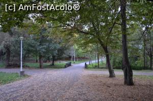 [P07] Alei si pod in parc » foto by AZE
 - 
<span class="allrVoted glyphicon glyphicon-heart hidden" id="av798111"></span>
<a class="m-l-10 hidden" id="sv798111" onclick="voting_Foto_DelVot(,798111,3936)" role="button">șterge vot <span class="glyphicon glyphicon-remove"></span></a>
<a id="v9798111" class=" c-red"  onclick="voting_Foto_SetVot(798111)" role="button"><span class="glyphicon glyphicon-heart-empty"></span> <b>LIKE</b> = Votează poza</a> <img class="hidden"  id="f798111W9" src="/imagini/loader.gif" border="0" /><span class="AjErrMes hidden" id="e798111ErM"></span>