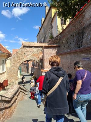 [P64] Pasajul scărilor » foto by Carmen Ion
 - 
<span class="allrVoted glyphicon glyphicon-heart hidden" id="av1513641"></span>
<a class="m-l-10 hidden" id="sv1513641" onclick="voting_Foto_DelVot(,1513641,3936)" role="button">șterge vot <span class="glyphicon glyphicon-remove"></span></a>
<a id="v91513641" class=" c-red"  onclick="voting_Foto_SetVot(1513641)" role="button"><span class="glyphicon glyphicon-heart-empty"></span> <b>LIKE</b> = Votează poza</a> <img class="hidden"  id="f1513641W9" src="/imagini/loader.gif" border="0" /><span class="AjErrMes hidden" id="e1513641ErM"></span>