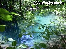 [P11] Lacul Ochiul Beiului » foto by georgiana
 - 
<span class="allrVoted glyphicon glyphicon-heart hidden" id="av28369"></span>
<a class="m-l-10 hidden" id="sv28369" onclick="voting_Foto_DelVot(,28369,3939)" role="button">șterge vot <span class="glyphicon glyphicon-remove"></span></a>
<a id="v928369" class=" c-red"  onclick="voting_Foto_SetVot(28369)" role="button"><span class="glyphicon glyphicon-heart-empty"></span> <b>LIKE</b> = Votează poza</a> <img class="hidden"  id="f28369W9" src="/imagini/loader.gif" border="0" /><span class="AjErrMes hidden" id="e28369ErM"></span>