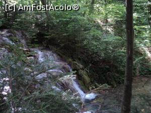 [P08] A doua cascada » foto by adrianaglogo
 - 
<span class="allrVoted glyphicon glyphicon-heart hidden" id="av767256"></span>
<a class="m-l-10 hidden" id="sv767256" onclick="voting_Foto_DelVot(,767256,3939)" role="button">șterge vot <span class="glyphicon glyphicon-remove"></span></a>
<a id="v9767256" class=" c-red"  onclick="voting_Foto_SetVot(767256)" role="button"><span class="glyphicon glyphicon-heart-empty"></span> <b>LIKE</b> = Votează poza</a> <img class="hidden"  id="f767256W9" src="/imagini/loader.gif" border="0" /><span class="AjErrMes hidden" id="e767256ErM"></span>