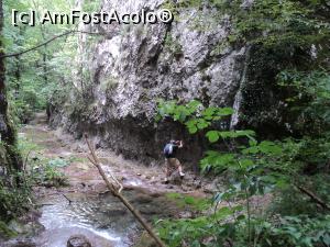 [P12] Poteca prevazuta cu cabluri, la intoarcere » foto by adrianaglogo
 - 
<span class="allrVoted glyphicon glyphicon-heart hidden" id="av770800"></span>
<a class="m-l-10 hidden" id="sv770800" onclick="voting_Foto_DelVot(,770800,3939)" role="button">șterge vot <span class="glyphicon glyphicon-remove"></span></a>
<a id="v9770800" class=" c-red"  onclick="voting_Foto_SetVot(770800)" role="button"><span class="glyphicon glyphicon-heart-empty"></span> <b>LIKE</b> = Votează poza</a> <img class="hidden"  id="f770800W9" src="/imagini/loader.gif" border="0" /><span class="AjErrMes hidden" id="e770800ErM"></span>