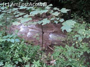 [P02] Vegetatia bogata aproape ca mascheaza firul apei » foto by adrianaglogo
 - 
<span class="allrVoted glyphicon glyphicon-heart hidden" id="av770790"></span>
<a class="m-l-10 hidden" id="sv770790" onclick="voting_Foto_DelVot(,770790,3939)" role="button">șterge vot <span class="glyphicon glyphicon-remove"></span></a>
<a id="v9770790" class=" c-red"  onclick="voting_Foto_SetVot(770790)" role="button"><span class="glyphicon glyphicon-heart-empty"></span> <b>LIKE</b> = Votează poza</a> <img class="hidden"  id="f770790W9" src="/imagini/loader.gif" border="0" /><span class="AjErrMes hidden" id="e770790ErM"></span>