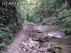 [P06] Poteca nu paraseste firul apei » foto by adrianaglogo
 - 
<span class="allrVoted glyphicon glyphicon-heart hidden" id="av770794"></span>
<a class="m-l-10 hidden" id="sv770794" onclick="voting_Foto_DelVot(,770794,3939)" role="button">șterge vot <span class="glyphicon glyphicon-remove"></span></a>
<a id="v9770794" class=" c-red"  onclick="voting_Foto_SetVot(770794)" role="button"><span class="glyphicon glyphicon-heart-empty"></span> <b>LIKE</b> = Votează poza</a> <img class="hidden"  id="f770794W9" src="/imagini/loader.gif" border="0" /><span class="AjErrMes hidden" id="e770794ErM"></span>