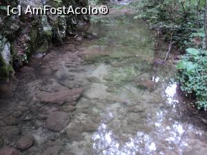 [P08] Un ochi de apa luminat de razele soareluicare se strecoara printre arbori » foto by adrianaglogo
 - 
<span class="allrVoted glyphicon glyphicon-heart hidden" id="av770796"></span>
<a class="m-l-10 hidden" id="sv770796" onclick="voting_Foto_DelVot(,770796,3939)" role="button">șterge vot <span class="glyphicon glyphicon-remove"></span></a>
<a id="v9770796" class=" c-red"  onclick="voting_Foto_SetVot(770796)" role="button"><span class="glyphicon glyphicon-heart-empty"></span> <b>LIKE</b> = Votează poza</a> <img class="hidden"  id="f770796W9" src="/imagini/loader.gif" border="0" /><span class="AjErrMes hidden" id="e770796ErM"></span>
