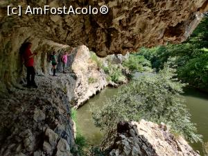 [P01] Poteca in Cheile Nerei » foto by @Lavi73
 - 
<span class="allrVoted glyphicon glyphicon-heart hidden" id="av1237528"></span>
<a class="m-l-10 hidden" id="sv1237528" onclick="voting_Foto_DelVot(,1237528,3939)" role="button">șterge vot <span class="glyphicon glyphicon-remove"></span></a>
<a id="v91237528" class=" c-red"  onclick="voting_Foto_SetVot(1237528)" role="button"><span class="glyphicon glyphicon-heart-empty"></span> <b>LIKE</b> = Votează poza</a> <img class="hidden"  id="f1237528W9" src="/imagini/loader.gif" border="0" /><span class="AjErrMes hidden" id="e1237528ErM"></span>