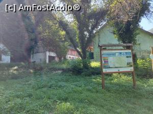 [P24] La Cantonul Damian, Cheile Nerei » foto by raducondurache
 - 
<span class="allrVoted glyphicon glyphicon-heart hidden" id="av1383225"></span>
<a class="m-l-10 hidden" id="sv1383225" onclick="voting_Foto_DelVot(,1383225,3939)" role="button">șterge vot <span class="glyphicon glyphicon-remove"></span></a>
<a id="v91383225" class=" c-red"  onclick="voting_Foto_SetVot(1383225)" role="button"><span class="glyphicon glyphicon-heart-empty"></span> <b>LIKE</b> = Votează poza</a> <img class="hidden"  id="f1383225W9" src="/imagini/loader.gif" border="0" /><span class="AjErrMes hidden" id="e1383225ErM"></span>
