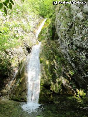 [P01] Cascada Susara » foto by Testosu'
 - 
<span class="allrVoted glyphicon glyphicon-heart hidden" id="av518807"></span>
<a class="m-l-10 hidden" id="sv518807" onclick="voting_Foto_DelVot(,518807,3939)" role="button">șterge vot <span class="glyphicon glyphicon-remove"></span></a>
<a id="v9518807" class=" c-red"  onclick="voting_Foto_SetVot(518807)" role="button"><span class="glyphicon glyphicon-heart-empty"></span> <b>LIKE</b> = Votează poza</a> <img class="hidden"  id="f518807W9" src="/imagini/loader.gif" border="0" /><span class="AjErrMes hidden" id="e518807ErM"></span>