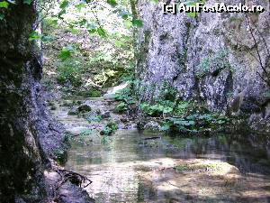 [P14] Cheile Susarei » foto by Testosu'
 - 
<span class="allrVoted glyphicon glyphicon-heart hidden" id="av518936"></span>
<a class="m-l-10 hidden" id="sv518936" onclick="voting_Foto_DelVot(,518936,3939)" role="button">șterge vot <span class="glyphicon glyphicon-remove"></span></a>
<a id="v9518936" class=" c-red"  onclick="voting_Foto_SetVot(518936)" role="button"><span class="glyphicon glyphicon-heart-empty"></span> <b>LIKE</b> = Votează poza</a> <img class="hidden"  id="f518936W9" src="/imagini/loader.gif" border="0" /><span class="AjErrMes hidden" id="e518936ErM"></span>