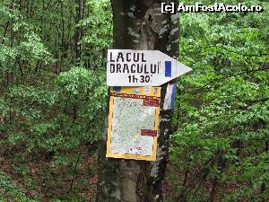 [P15] intrarea pe traseul forestier dincolo de Poiana Logor, spre Lacul Dracului pe Ogasul Porcului » foto by Testosu'
 - 
<span class="allrVoted glyphicon glyphicon-heart hidden" id="av518964"></span>
<a class="m-l-10 hidden" id="sv518964" onclick="voting_Foto_DelVot(,518964,3939)" role="button">șterge vot <span class="glyphicon glyphicon-remove"></span></a>
<a id="v9518964" class=" c-red"  onclick="voting_Foto_SetVot(518964)" role="button"><span class="glyphicon glyphicon-heart-empty"></span> <b>LIKE</b> = Votează poza</a> <img class="hidden"  id="f518964W9" src="/imagini/loader.gif" border="0" /><span class="AjErrMes hidden" id="e518964ErM"></span>