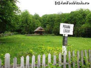 [P04] Poiana Logor punctul terminus auto » foto by Testosu'
 - 
<span class="allrVoted glyphicon glyphicon-heart hidden" id="av518803"></span>
<a class="m-l-10 hidden" id="sv518803" onclick="voting_Foto_DelVot(,518803,3939)" role="button">șterge vot <span class="glyphicon glyphicon-remove"></span></a>
<a id="v9518803" class=" c-red"  onclick="voting_Foto_SetVot(518803)" role="button"><span class="glyphicon glyphicon-heart-empty"></span> <b>LIKE</b> = Votează poza</a> <img class="hidden"  id="f518803W9" src="/imagini/loader.gif" border="0" /><span class="AjErrMes hidden" id="e518803ErM"></span>
