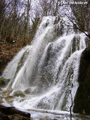 [P14] Cascada Beusnita » foto by Testosu'
 - 
<span class="allrVoted glyphicon glyphicon-heart hidden" id="av617984"></span>
<a class="m-l-10 hidden" id="sv617984" onclick="voting_Foto_DelVot(,617984,3939)" role="button">șterge vot <span class="glyphicon glyphicon-remove"></span></a>
<a id="v9617984" class=" c-red"  onclick="voting_Foto_SetVot(617984)" role="button"><span class="glyphicon glyphicon-heart-empty"></span> <b>LIKE</b> = Votează poza</a> <img class="hidden"  id="f617984W9" src="/imagini/loader.gif" border="0" /><span class="AjErrMes hidden" id="e617984ErM"></span>