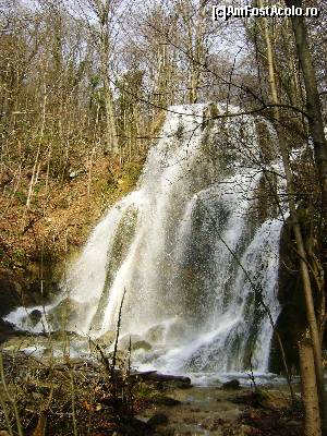 [P15] Cascada Beusnita » foto by Testosu'
 - 
<span class="allrVoted glyphicon glyphicon-heart hidden" id="av617985"></span>
<a class="m-l-10 hidden" id="sv617985" onclick="voting_Foto_DelVot(,617985,3939)" role="button">șterge vot <span class="glyphicon glyphicon-remove"></span></a>
<a id="v9617985" class=" c-red"  onclick="voting_Foto_SetVot(617985)" role="button"><span class="glyphicon glyphicon-heart-empty"></span> <b>LIKE</b> = Votează poza</a> <img class="hidden"  id="f617985W9" src="/imagini/loader.gif" border="0" /><span class="AjErrMes hidden" id="e617985ErM"></span>
