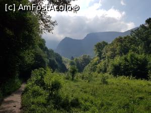 [P16] Poiana Beușniței, locul unde tânărul bei ar fi întâlnit-o pe frumoasa ciobăniță. » foto by Floryn81
 - 
<span class="allrVoted glyphicon glyphicon-heart hidden" id="av1176895"></span>
<a class="m-l-10 hidden" id="sv1176895" onclick="voting_Foto_DelVot(,1176895,3939)" role="button">șterge vot <span class="glyphicon glyphicon-remove"></span></a>
<a id="v91176895" class=" c-red"  onclick="voting_Foto_SetVot(1176895)" role="button"><span class="glyphicon glyphicon-heart-empty"></span> <b>LIKE</b> = Votează poza</a> <img class="hidden"  id="f1176895W9" src="/imagini/loader.gif" border="0" /><span class="AjErrMes hidden" id="e1176895ErM"></span>