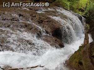 [P29] Cascada ”La văioagă” este spectaculoasă. » foto by Floryn81
 - 
<span class="allrVoted glyphicon glyphicon-heart hidden" id="av1176908"></span>
<a class="m-l-10 hidden" id="sv1176908" onclick="voting_Foto_DelVot(,1176908,3939)" role="button">șterge vot <span class="glyphicon glyphicon-remove"></span></a>
<a id="v91176908" class=" c-red"  onclick="voting_Foto_SetVot(1176908)" role="button"><span class="glyphicon glyphicon-heart-empty"></span> <b>LIKE</b> = Votează poza</a> <img class="hidden"  id="f1176908W9" src="/imagini/loader.gif" border="0" /><span class="AjErrMes hidden" id="e1176908ErM"></span>