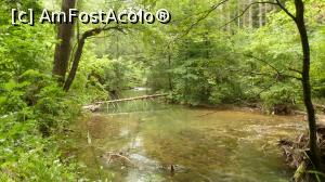 [P12] Pârâul Bei în apropiere de Cascada La Văioagă » foto by iuliaen
 - 
<span class="allrVoted glyphicon glyphicon-heart hidden" id="av845738"></span>
<a class="m-l-10 hidden" id="sv845738" onclick="voting_Foto_DelVot(,845738,3939)" role="button">șterge vot <span class="glyphicon glyphicon-remove"></span></a>
<a id="v9845738" class=" c-red"  onclick="voting_Foto_SetVot(845738)" role="button"><span class="glyphicon glyphicon-heart-empty"></span> <b>LIKE</b> = Votează poza</a> <img class="hidden"  id="f845738W9" src="/imagini/loader.gif" border="0" /><span class="AjErrMes hidden" id="e845738ErM"></span>