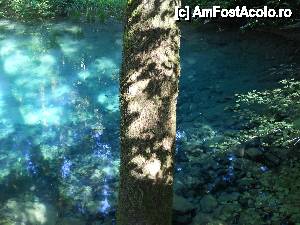 [P16] Ametitor de albastru » foto by noi doi
 - 
<span class="allrVoted glyphicon glyphicon-heart hidden" id="av435583"></span>
<a class="m-l-10 hidden" id="sv435583" onclick="voting_Foto_DelVot(,435583,3939)" role="button">șterge vot <span class="glyphicon glyphicon-remove"></span></a>
<a id="v9435583" class=" c-red"  onclick="voting_Foto_SetVot(435583)" role="button"><span class="glyphicon glyphicon-heart-empty"></span> <b>LIKE</b> = Votează poza</a> <img class="hidden"  id="f435583W9" src="/imagini/loader.gif" border="0" /><span class="AjErrMes hidden" id="e435583ErM"></span>