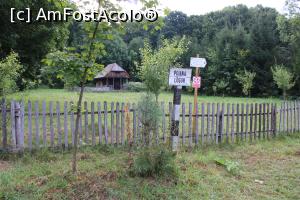 [P01] Parcul Național Cheile Nerei-Beușnița, Poiana Logor pe traseul spre Lacul Dracului, de aici se mai merge pe șosea 200 m până la indicatorul spre el prin Ogașul Porcului » foto by mprofeanu
 - 
<span class="allrVoted glyphicon glyphicon-heart hidden" id="av1186882"></span>
<a class="m-l-10 hidden" id="sv1186882" onclick="voting_Foto_DelVot(,1186882,3939)" role="button">șterge vot <span class="glyphicon glyphicon-remove"></span></a>
<a id="v91186882" class=" c-red"  onclick="voting_Foto_SetVot(1186882)" role="button"><span class="glyphicon glyphicon-heart-empty"></span> <b>LIKE</b> = Votează poza</a> <img class="hidden"  id="f1186882W9" src="/imagini/loader.gif" border="0" /><span class="AjErrMes hidden" id="e1186882ErM"></span>