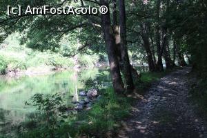 [P13] Parcul Național Cheile Nerei-Beușnița, Traseul Șopotul Nou - Lacul Dracului, Nera în stânga » foto by mprofeanu
 - 
<span class="allrVoted glyphicon glyphicon-heart hidden" id="av1186894"></span>
<a class="m-l-10 hidden" id="sv1186894" onclick="voting_Foto_DelVot(,1186894,3939)" role="button">șterge vot <span class="glyphicon glyphicon-remove"></span></a>
<a id="v91186894" class=" c-red"  onclick="voting_Foto_SetVot(1186894)" role="button"><span class="glyphicon glyphicon-heart-empty"></span> <b>LIKE</b> = Votează poza</a> <img class="hidden"  id="f1186894W9" src="/imagini/loader.gif" border="0" /><span class="AjErrMes hidden" id="e1186894ErM"></span>