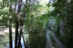 [P15] Parcul Național Cheile Nerei-Beușnița, Traseul Șopotul Nou - Lacul Dracului, Nera și un pic de stâncă.... » foto by mprofeanu
 - 
<span class="allrVoted glyphicon glyphicon-heart hidden" id="av1186896"></span>
<a class="m-l-10 hidden" id="sv1186896" onclick="voting_Foto_DelVot(,1186896,3939)" role="button">șterge vot <span class="glyphicon glyphicon-remove"></span></a>
<a id="v91186896" class=" c-red"  onclick="voting_Foto_SetVot(1186896)" role="button"><span class="glyphicon glyphicon-heart-empty"></span> <b>LIKE</b> = Votează poza</a> <img class="hidden"  id="f1186896W9" src="/imagini/loader.gif" border="0" /><span class="AjErrMes hidden" id="e1186896ErM"></span>