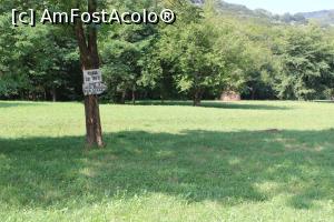 [P18] Parcul Național Cheile Nerei-Beușnița, Poiana lui Trifu, Indicator spre Lacul Dracului pe la Scară și Vad, adică se trece prin apă...,  aici practic traseul se bifurcă, unul merge înainte altul la stânga pe puntea suspendată... » foto by mprofeanu
 - 
<span class="allrVoted glyphicon glyphicon-heart hidden" id="av1186899"></span>
<a class="m-l-10 hidden" id="sv1186899" onclick="voting_Foto_DelVot(,1186899,3939)" role="button">șterge vot <span class="glyphicon glyphicon-remove"></span></a>
<a id="v91186899" class=" c-red"  onclick="voting_Foto_SetVot(1186899)" role="button"><span class="glyphicon glyphicon-heart-empty"></span> <b>LIKE</b> = Votează poza</a> <img class="hidden"  id="f1186899W9" src="/imagini/loader.gif" border="0" /><span class="AjErrMes hidden" id="e1186899ErM"></span>