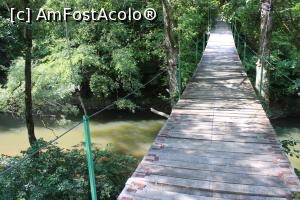 [P21] Parcul Național Cheile Nerei-Beușnița, Puntea Suspendată pe traseul Șopotul Nou - Moara lui Untan - Lacul Dracului, trecem Nera » foto by mprofeanu
 - 
<span class="allrVoted glyphicon glyphicon-heart hidden" id="av1186902"></span>
<a class="m-l-10 hidden" id="sv1186902" onclick="voting_Foto_DelVot(,1186902,3939)" role="button">șterge vot <span class="glyphicon glyphicon-remove"></span></a>
<a id="v91186902" class=" c-red"  onclick="voting_Foto_SetVot(1186902)" role="button"><span class="glyphicon glyphicon-heart-empty"></span> <b>LIKE</b> = Votează poza</a> <img class="hidden"  id="f1186902W9" src="/imagini/loader.gif" border="0" /><span class="AjErrMes hidden" id="e1186902ErM"></span>