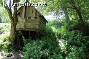 [P25] Parcul Național Cheile Nerei-Beușnița, Traseul Șopotul Nou - Moara lui Untan - Lacul Dracului, Moara lui Untan » foto by mprofeanu
 - 
<span class="allrVoted glyphicon glyphicon-heart hidden" id="av1186906"></span>
<a class="m-l-10 hidden" id="sv1186906" onclick="voting_Foto_DelVot(,1186906,3939)" role="button">șterge vot <span class="glyphicon glyphicon-remove"></span></a>
<a id="v91186906" class=" c-red"  onclick="voting_Foto_SetVot(1186906)" role="button"><span class="glyphicon glyphicon-heart-empty"></span> <b>LIKE</b> = Votează poza</a> <img class="hidden"  id="f1186906W9" src="/imagini/loader.gif" border="0" /><span class="AjErrMes hidden" id="e1186906ErM"></span>