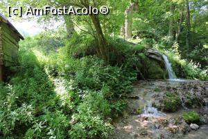 [P26] Parcul Național Cheile Nerei-Beușnița, Traseul Șopotul Nou - Moara lui Untan - Lacul Dracului, lângă Moara lui Untan » foto by mprofeanu
 - 
<span class="allrVoted glyphicon glyphicon-heart hidden" id="av1186907"></span>
<a class="m-l-10 hidden" id="sv1186907" onclick="voting_Foto_DelVot(,1186907,3939)" role="button">șterge vot <span class="glyphicon glyphicon-remove"></span></a>
<a id="v91186907" class=" c-red"  onclick="voting_Foto_SetVot(1186907)" role="button"><span class="glyphicon glyphicon-heart-empty"></span> <b>LIKE</b> = Votează poza</a> <img class="hidden"  id="f1186907W9" src="/imagini/loader.gif" border="0" /><span class="AjErrMes hidden" id="e1186907ErM"></span>