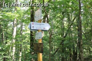 [P30] Parcul Național Cheile Nerei-Beușnița, Intersecția traseul Șopotul Nou - Moara lui Untan - Lacul Dracului, Intersecția cu traseul de la Ogașul Porcului, mai sunt 800 metri până la lac, de aici plecă și cea mai frumoasă și spectaculoasă parte a Cheilor Nerei, spre Podul Bei... » foto by mprofeanu
 - 
<span class="allrVoted glyphicon glyphicon-heart hidden" id="av1186911"></span>
<a class="m-l-10 hidden" id="sv1186911" onclick="voting_Foto_DelVot(,1186911,3939)" role="button">șterge vot <span class="glyphicon glyphicon-remove"></span></a>
<a id="v91186911" class=" c-red"  onclick="voting_Foto_SetVot(1186911)" role="button"><span class="glyphicon glyphicon-heart-empty"></span> <b>LIKE</b> = Votează poza</a> <img class="hidden"  id="f1186911W9" src="/imagini/loader.gif" border="0" /><span class="AjErrMes hidden" id="e1186911ErM"></span>