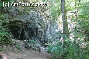 [P32] Parcul Național Cheile Nerei-Beușnița, Traseul Șopotul Nou - Moara lui Untan - Lacul Dracului, Se zărește lacul din potecă, este în partea de jos.... » foto by mprofeanu
 - 
<span class="allrVoted glyphicon glyphicon-heart hidden" id="av1186913"></span>
<a class="m-l-10 hidden" id="sv1186913" onclick="voting_Foto_DelVot(,1186913,3939)" role="button">șterge vot <span class="glyphicon glyphicon-remove"></span></a>
<a id="v91186913" class=" c-red"  onclick="voting_Foto_SetVot(1186913)" role="button"><span class="glyphicon glyphicon-heart-empty"></span> <b>LIKE</b> = Votează poza</a> <img class="hidden"  id="f1186913W9" src="/imagini/loader.gif" border="0" /><span class="AjErrMes hidden" id="e1186913ErM"></span>