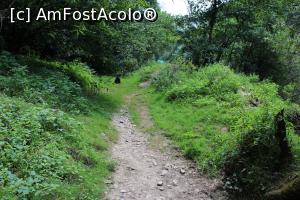 [P44] Parcul Național Cheile Nerei-Beușnița, Nera merge spre Dunăre, noi spre Șopotul Nou, pe aici am început să mergem pe malul Nerei, am găsit și marcajul bandă roșie... » foto by mprofeanu
 - 
<span class="allrVoted glyphicon glyphicon-heart hidden" id="av1186925"></span>
<a class="m-l-10 hidden" id="sv1186925" onclick="voting_Foto_DelVot(,1186925,3939)" role="button">șterge vot <span class="glyphicon glyphicon-remove"></span></a>
<a id="v91186925" class=" c-red"  onclick="voting_Foto_SetVot(1186925)" role="button"><span class="glyphicon glyphicon-heart-empty"></span> <b>LIKE</b> = Votează poza</a> <img class="hidden"  id="f1186925W9" src="/imagini/loader.gif" border="0" /><span class="AjErrMes hidden" id="e1186925ErM"></span>