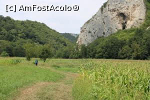 [P49] Parcul Național Cheile Nerei-Beușnița, suntem iar în Poiana lui Trifu, plină cu de toate... » foto by mprofeanu
 - 
<span class="allrVoted glyphicon glyphicon-heart hidden" id="av1186930"></span>
<a class="m-l-10 hidden" id="sv1186930" onclick="voting_Foto_DelVot(,1186930,3939)" role="button">șterge vot <span class="glyphicon glyphicon-remove"></span></a>
<a id="v91186930" class=" c-red"  onclick="voting_Foto_SetVot(1186930)" role="button"><span class="glyphicon glyphicon-heart-empty"></span> <b>LIKE</b> = Votează poza</a> <img class="hidden"  id="f1186930W9" src="/imagini/loader.gif" border="0" /><span class="AjErrMes hidden" id="e1186930ErM"></span>