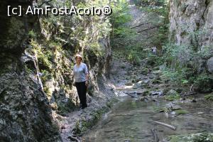 [P16] Parcul Național Cheile Nerei-Beușnița, Cheile Șușara, Poteca aproape orizontală, cu cablu metalic, săpată în stâncă, Am Fost Acolo... le ieșire se urcă și se mai merge până la cascadă » foto by mprofeanu
 - 
<span class="allrVoted glyphicon glyphicon-heart hidden" id="av1187647"></span>
<a class="m-l-10 hidden" id="sv1187647" onclick="voting_Foto_DelVot(,1187647,3939)" role="button">șterge vot <span class="glyphicon glyphicon-remove"></span></a>
<a id="v91187647" class=" c-red"  onclick="voting_Foto_SetVot(1187647)" role="button"><span class="glyphicon glyphicon-heart-empty"></span> <b>LIKE</b> = Votează poza</a> <img class="hidden"  id="f1187647W9" src="/imagini/loader.gif" border="0" /><span class="AjErrMes hidden" id="e1187647ErM"></span>