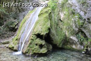 [P24] Parcul Național Cheile Nerei-Beușnița, Cascada Șușara, Treapta inferioară, stâncă, apă, vegetație, deosebită, altceva... » foto by mprofeanu
 - 
<span class="allrVoted glyphicon glyphicon-heart hidden" id="av1187655"></span>
<a class="m-l-10 hidden" id="sv1187655" onclick="voting_Foto_DelVot(,1187655,3939)" role="button">șterge vot <span class="glyphicon glyphicon-remove"></span></a>
<a id="v91187655" class=" c-red"  onclick="voting_Foto_SetVot(1187655)" role="button"><span class="glyphicon glyphicon-heart-empty"></span> <b>LIKE</b> = Votează poza</a> <img class="hidden"  id="f1187655W9" src="/imagini/loader.gif" border="0" /><span class="AjErrMes hidden" id="e1187655ErM"></span>