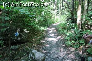 [P27] Parcul Național Cheile Nerei-Beușnița, Traseul Cheile Șușara marcat cu cruce albastră pe stânci » foto by mprofeanu
 - 
<span class="allrVoted glyphicon glyphicon-heart hidden" id="av1187658"></span>
<a class="m-l-10 hidden" id="sv1187658" onclick="voting_Foto_DelVot(,1187658,3939)" role="button">șterge vot <span class="glyphicon glyphicon-remove"></span></a>
<a id="v91187658" class=" c-red"  onclick="voting_Foto_SetVot(1187658)" role="button"><span class="glyphicon glyphicon-heart-empty"></span> <b>LIKE</b> = Votează poza</a> <img class="hidden"  id="f1187658W9" src="/imagini/loader.gif" border="0" /><span class="AjErrMes hidden" id="e1187658ErM"></span>