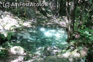 [P31] Parcul Național Cheile Nerei-Beușnița, Râul Șușara, dorna mi-a amintit de Ochiul Bei » foto by mprofeanu
 - 
<span class="allrVoted glyphicon glyphicon-heart hidden" id="av1187662"></span>
<a class="m-l-10 hidden" id="sv1187662" onclick="voting_Foto_DelVot(,1187662,3939)" role="button">șterge vot <span class="glyphicon glyphicon-remove"></span></a>
<a id="v91187662" class=" c-red"  onclick="voting_Foto_SetVot(1187662)" role="button"><span class="glyphicon glyphicon-heart-empty"></span> <b>LIKE</b> = Votează poza</a> <img class="hidden"  id="f1187662W9" src="/imagini/loader.gif" border="0" /><span class="AjErrMes hidden" id="e1187662ErM"></span>