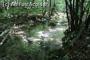 [P32] Parcul Național Cheile Nerei-Beușnița, Râul Șușara, altă dornă... » foto by mprofeanu
 - 
<span class="allrVoted glyphicon glyphicon-heart hidden" id="av1187663"></span>
<a class="m-l-10 hidden" id="sv1187663" onclick="voting_Foto_DelVot(,1187663,3939)" role="button">șterge vot <span class="glyphicon glyphicon-remove"></span></a>
<a id="v91187663" class=" c-red"  onclick="voting_Foto_SetVot(1187663)" role="button"><span class="glyphicon glyphicon-heart-empty"></span> <b>LIKE</b> = Votează poza</a> <img class="hidden"  id="f1187663W9" src="/imagini/loader.gif" border="0" /><span class="AjErrMes hidden" id="e1187663ErM"></span>