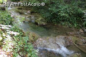 [P37] Parcul Național Cheile Nerei-Beușnița, Râul Șușara, Praguri de travertin, Mici Cascade » foto by mprofeanu
 - 
<span class="allrVoted glyphicon glyphicon-heart hidden" id="av1187668"></span>
<a class="m-l-10 hidden" id="sv1187668" onclick="voting_Foto_DelVot(,1187668,3939)" role="button">șterge vot <span class="glyphicon glyphicon-remove"></span></a>
<a id="v91187668" class=" c-red"  onclick="voting_Foto_SetVot(1187668)" role="button"><span class="glyphicon glyphicon-heart-empty"></span> <b>LIKE</b> = Votează poza</a> <img class="hidden"  id="f1187668W9" src="/imagini/loader.gif" border="0" /><span class="AjErrMes hidden" id="e1187668ErM"></span>