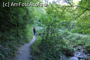 [P04] Parcul Național Cheile Nerei-Beușnița, Traseul Cheile Șușara, pe poteca din pădure » foto by mprofeanu
 - 
<span class="allrVoted glyphicon glyphicon-heart hidden" id="av1187635"></span>
<a class="m-l-10 hidden" id="sv1187635" onclick="voting_Foto_DelVot(,1187635,3939)" role="button">șterge vot <span class="glyphicon glyphicon-remove"></span></a>
<a id="v91187635" class=" c-red"  onclick="voting_Foto_SetVot(1187635)" role="button"><span class="glyphicon glyphicon-heart-empty"></span> <b>LIKE</b> = Votează poza</a> <img class="hidden"  id="f1187635W9" src="/imagini/loader.gif" border="0" /><span class="AjErrMes hidden" id="e1187635ErM"></span>