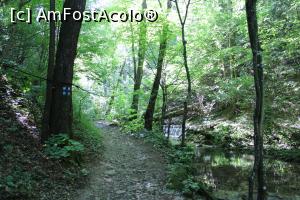 [P05] Parcul Național Cheile Nerei-Beușnița, Traseul Cheile Șușara, Poteca din pădure și marcajul.... » foto by mprofeanu
 - 
<span class="allrVoted glyphicon glyphicon-heart hidden" id="av1187636"></span>
<a class="m-l-10 hidden" id="sv1187636" onclick="voting_Foto_DelVot(,1187636,3939)" role="button">șterge vot <span class="glyphicon glyphicon-remove"></span></a>
<a id="v91187636" class=" c-red"  onclick="voting_Foto_SetVot(1187636)" role="button"><span class="glyphicon glyphicon-heart-empty"></span> <b>LIKE</b> = Votează poza</a> <img class="hidden"  id="f1187636W9" src="/imagini/loader.gif" border="0" /><span class="AjErrMes hidden" id="e1187636ErM"></span>