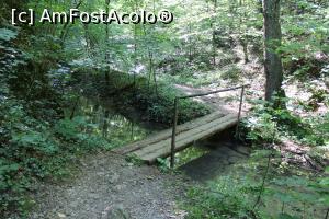 [P06] Parcul Național Cheile Nerei-Beușnița, Traseul Cheile Șușara, Punte peste Râul Șușara » foto by mprofeanu
 - 
<span class="allrVoted glyphicon glyphicon-heart hidden" id="av1187637"></span>
<a class="m-l-10 hidden" id="sv1187637" onclick="voting_Foto_DelVot(,1187637,3939)" role="button">șterge vot <span class="glyphicon glyphicon-remove"></span></a>
<a id="v91187637" class=" c-red"  onclick="voting_Foto_SetVot(1187637)" role="button"><span class="glyphicon glyphicon-heart-empty"></span> <b>LIKE</b> = Votează poza</a> <img class="hidden"  id="f1187637W9" src="/imagini/loader.gif" border="0" /><span class="AjErrMes hidden" id="e1187637ErM"></span>