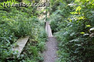 [P08] Parcul Național Cheile Nerei-Beușnița, Traseul Cheile Șușara, Loc de odihnă, bancă dintr-un trunchi de copac, lângă o punte peste Râul Șușara » foto by mprofeanu
 - 
<span class="allrVoted glyphicon glyphicon-heart hidden" id="av1187639"></span>
<a class="m-l-10 hidden" id="sv1187639" onclick="voting_Foto_DelVot(,1187639,3939)" role="button">șterge vot <span class="glyphicon glyphicon-remove"></span></a>
<a id="v91187639" class=" c-red"  onclick="voting_Foto_SetVot(1187639)" role="button"><span class="glyphicon glyphicon-heart-empty"></span> <b>LIKE</b> = Votează poza</a> <img class="hidden"  id="f1187639W9" src="/imagini/loader.gif" border="0" /><span class="AjErrMes hidden" id="e1187639ErM"></span>