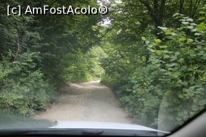 [P01] Parcul Național Cheile Nerei – Beușnița, pe drumul forestier Podul Bei- Păstrăvărie » foto by mprofeanu
 - 
<span class="allrVoted glyphicon glyphicon-heart hidden" id="av1189005"></span>
<a class="m-l-10 hidden" id="sv1189005" onclick="voting_Foto_DelVot(,1189005,3939)" role="button">șterge vot <span class="glyphicon glyphicon-remove"></span></a>
<a id="v91189005" class=" c-red"  onclick="voting_Foto_SetVot(1189005)" role="button"><span class="glyphicon glyphicon-heart-empty"></span> <b>LIKE</b> = Votează poza</a> <img class="hidden"  id="f1189005W9" src="/imagini/loader.gif" border="0" /><span class="AjErrMes hidden" id="e1189005ErM"></span>